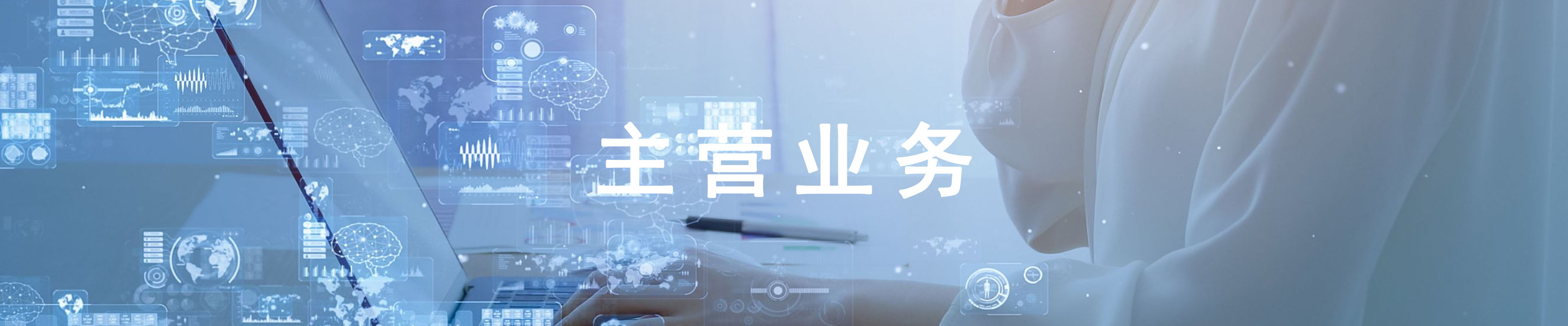 主营业务